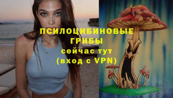 наркотики Бородино