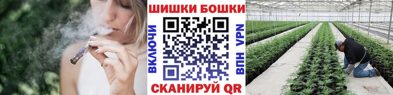 Бошки Шишки сатива купить наркотик Туапсе